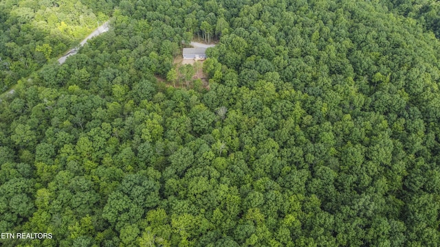 3834 Smith Mountain Rd, Rockwood, TN 37854 - photo 47