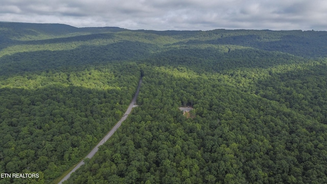 3834 Smith Mountain Rd, Rockwood, TN 37854 - photo 48
