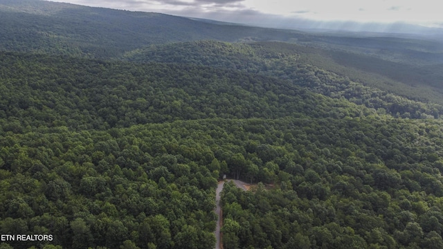 3834 Smith Mountain Rd, Rockwood, TN 37854 - photo 49