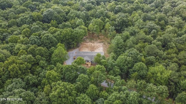 3834 Smith Mountain Rd, Rockwood, TN 37854 - photo 45