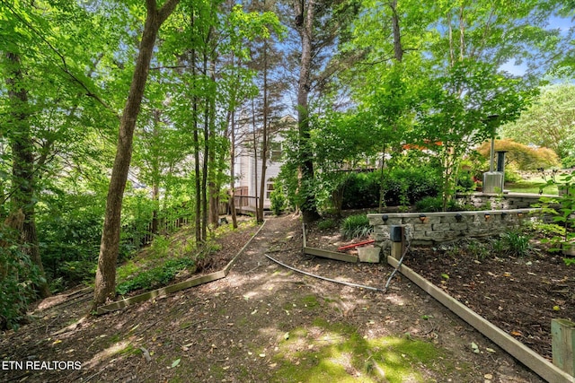 1476 Pheasants Glen Dr, Knoxville, TN 37923 - view of yard