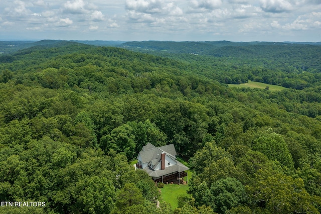 2227 Paint Rock Ferry Rd, Kingston, TN 37763 - photo 4