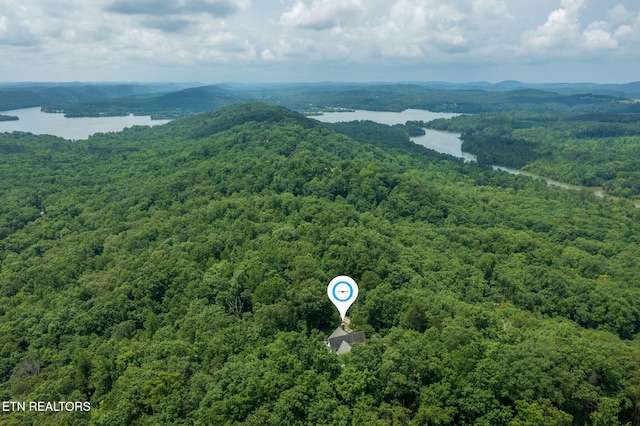 2227 Paint Rock Ferry Rd, Kingston, TN 37763 - photo 6