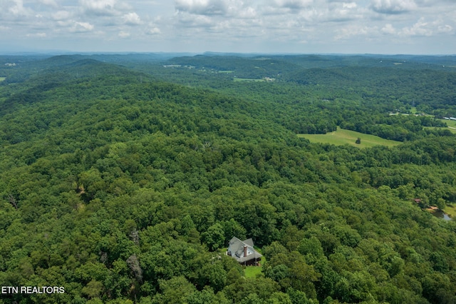 2227 Paint Rock Ferry Rd, Kingston, TN 37763 - photo 9