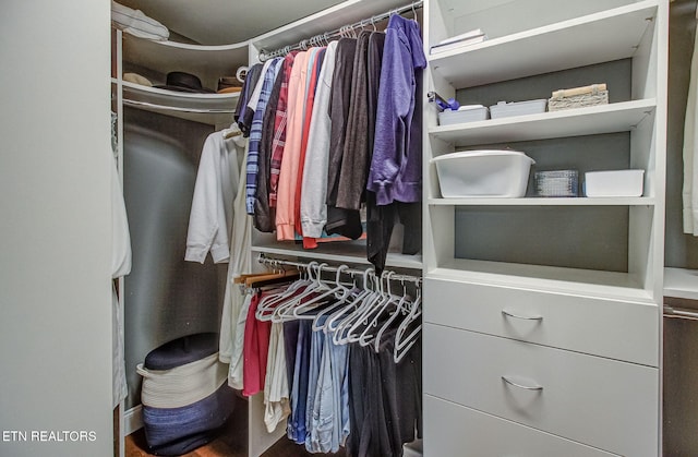 12504 Tangle Crest Ln, Knoxville, TN 37932 - view of walk in closet