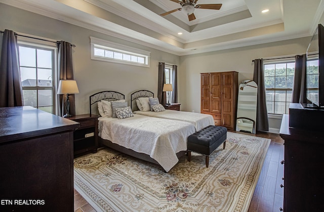 12504 Tangle Crest Ln, Knoxville, TN 37932 - bedroom featuring multiple windows, ornamental molding, dark wood-style flooring, a ceiling fan, and a tray ceiling
