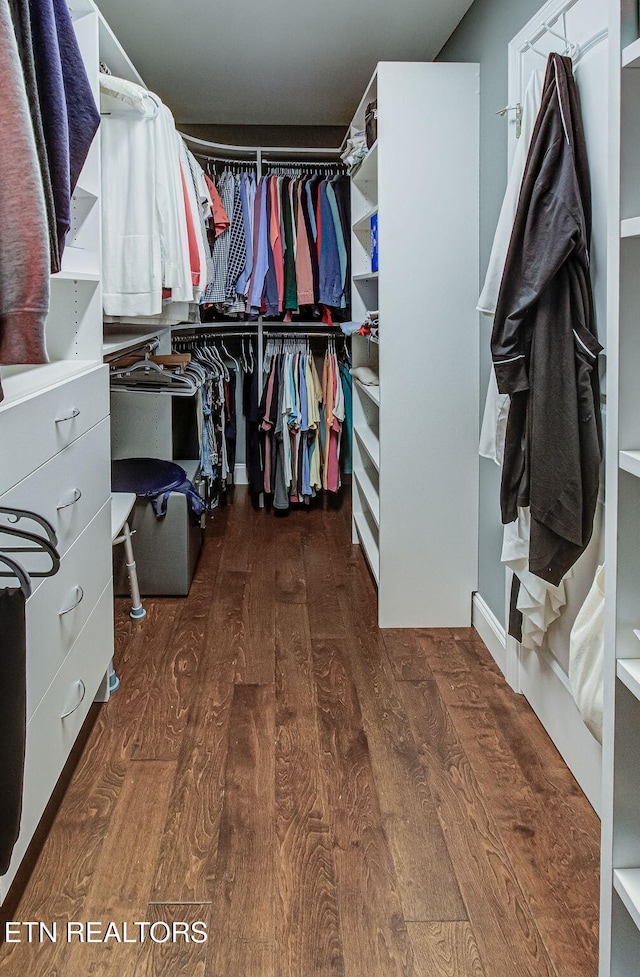 12504 Tangle Crest Ln, Knoxville, TN 37932 - spacious closet with hardwood / wood-style flooring