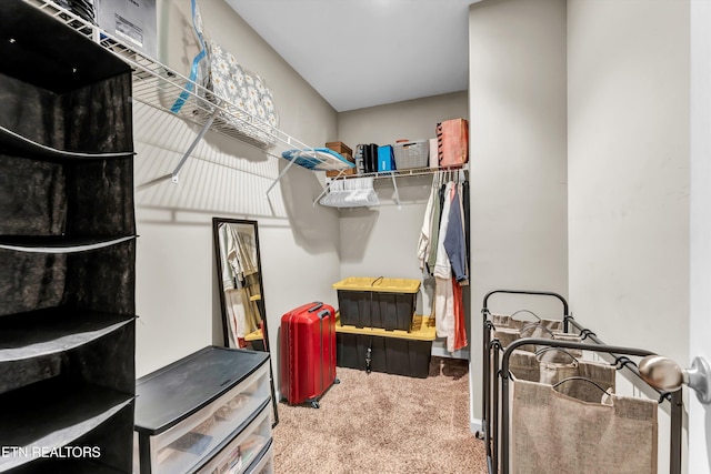 3345 Cummins Ln, Knoxville, TN 37921 - photo 15