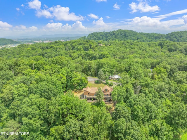 343 Jersey Dr, Sevierville, TN 37862 - photo 51