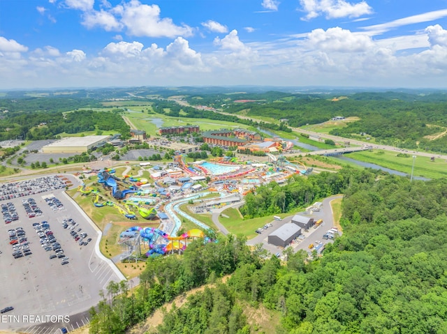 343 Jersey Dr, Sevierville, TN 37862 - photo 52