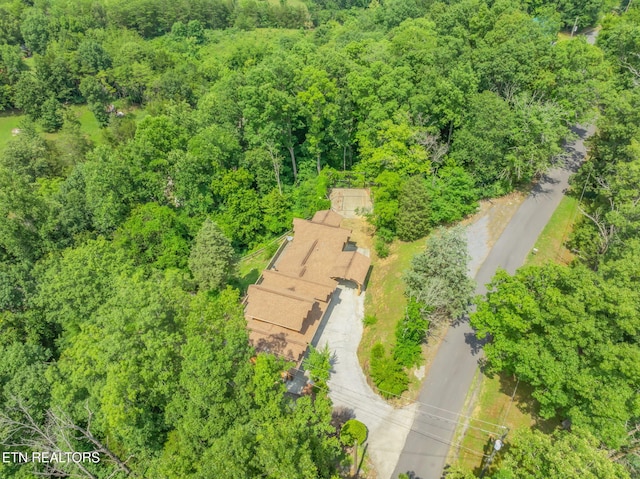 343 Jersey Dr, Sevierville, TN 37862 - photo 53