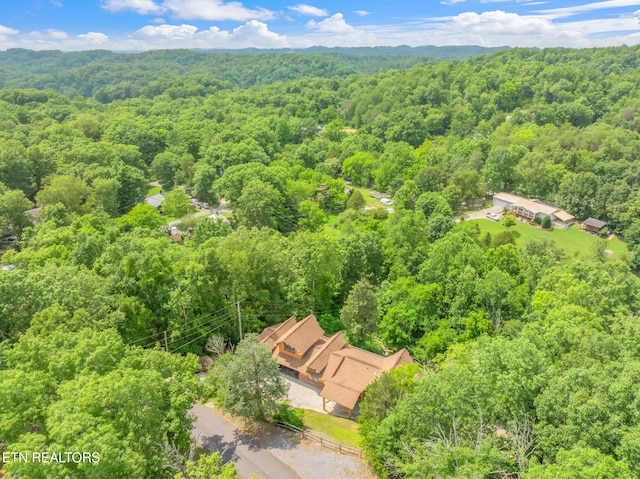 343 Jersey Dr, Sevierville, TN 37862 - photo 56