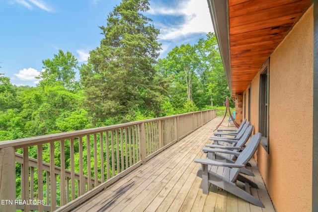 343 Jersey Dr, Sevierville, TN 37862 - photo 45