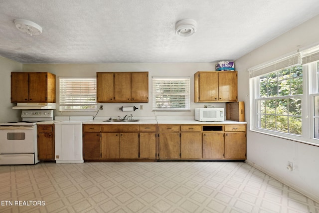 283 Eblen Cave Rd, Lenoir City, TN 37771 - photo 13