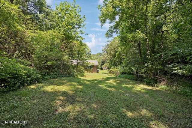 283 Eblen Cave Rd, Lenoir City, TN 37771 - photo 32