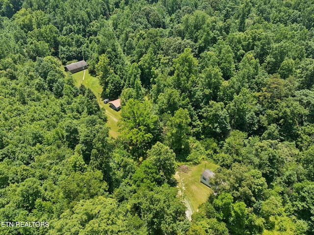 283 Eblen Cave Rd, Lenoir City, TN 37771 - photo 35