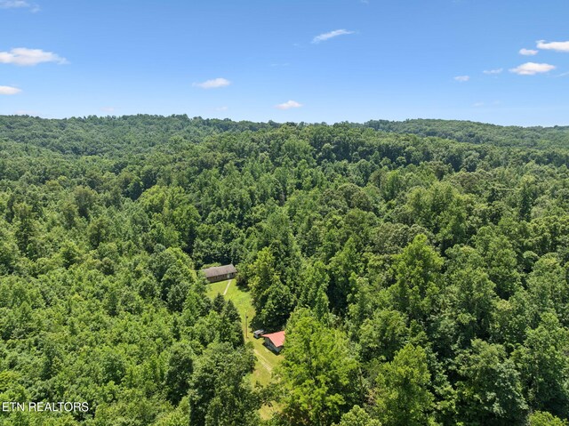 283 Eblen Cave Rd, Lenoir City, TN 37771 - photo 36