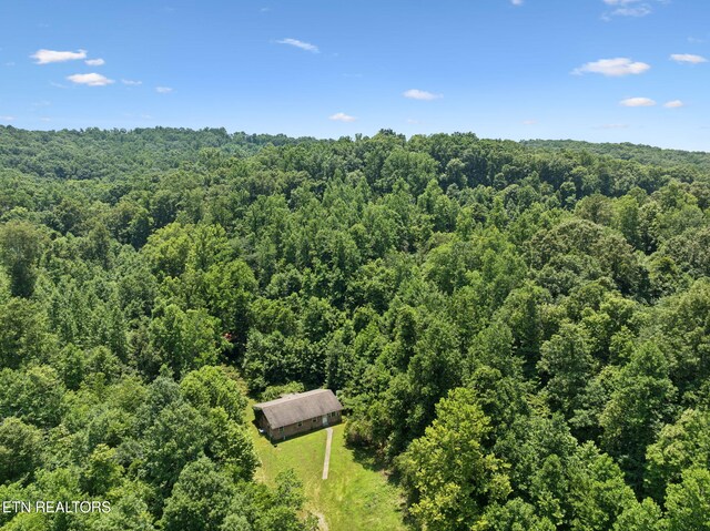283 Eblen Cave Rd, Lenoir City, TN 37771 - photo 37