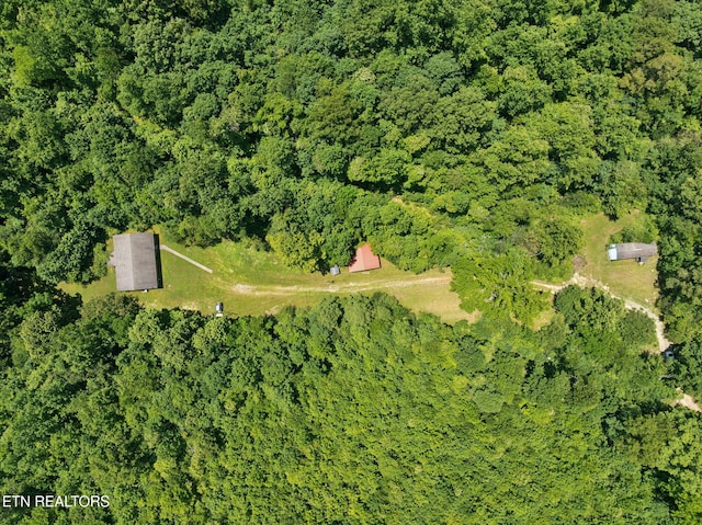 283 Eblen Cave Rd, Lenoir City, TN 37771 - photo 3