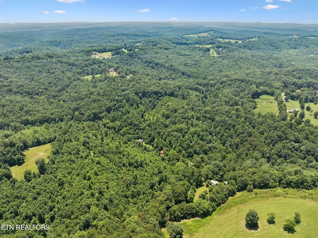 283 Eblen Cave Rd, Lenoir City, TN 37771 - photo 38