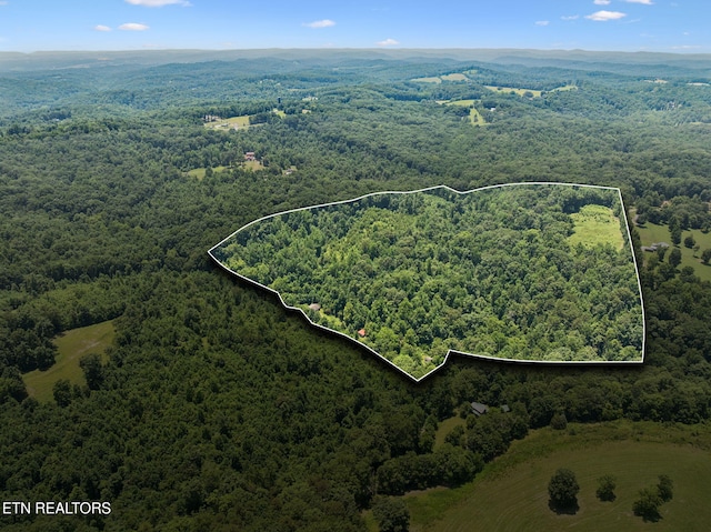 283 Eblen Cave Rd, Lenoir City, TN 37771 - photo 39