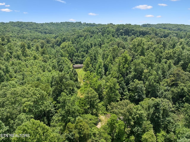 283 Eblen Cave Rd, Lenoir City, TN 37771 - photo 41