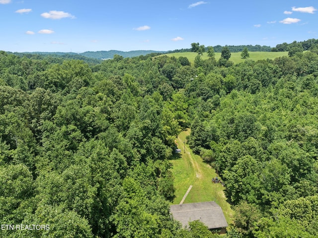 283 Eblen Cave Rd, Lenoir City, TN 37771 - photo 42