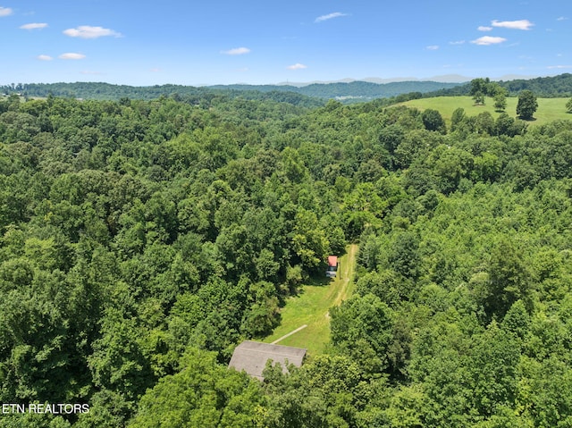 283 Eblen Cave Rd, Lenoir City, TN 37771 - photo 43