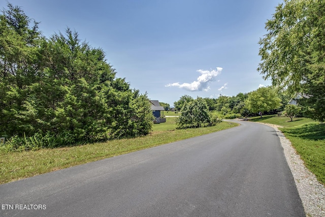 Itawa Trl, Vonore, TN 37885 - photo 4