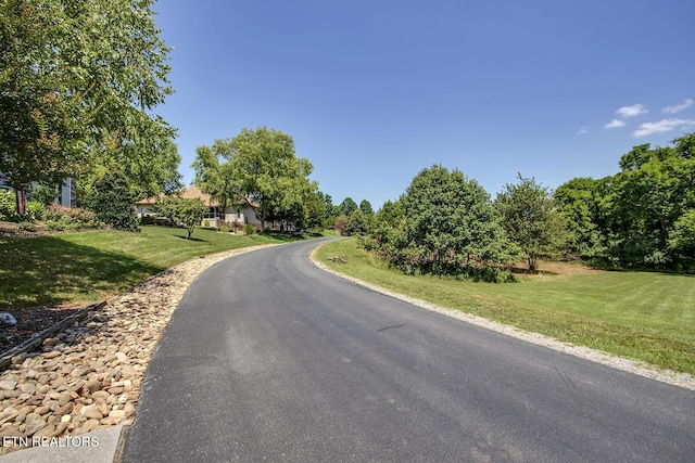 Itawa Trl, Vonore, TN 37885 - photo 6