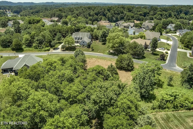 Itawa Trl, Vonore, TN 37885 - photo 7