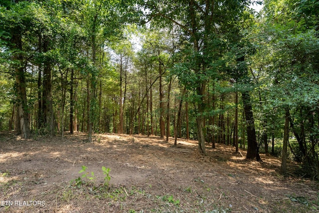 191 Pinecrest Dr, Loudon, TN 37774 - photo 3