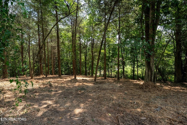 191 Pinecrest Dr, Loudon, TN 37774 - photo 4