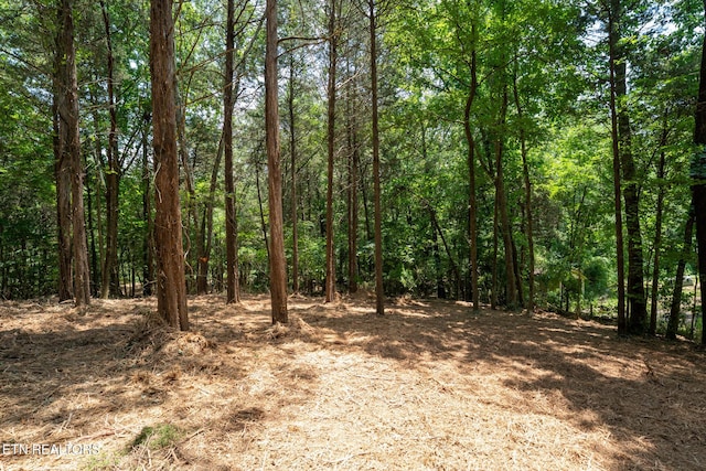 191 Pinecrest Dr, Loudon, TN 37774 - photo 5