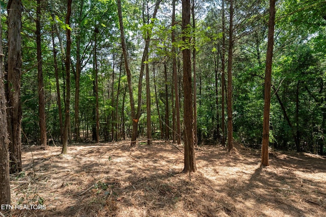 191 Pinecrest Dr, Loudon, TN 37774 - photo 6