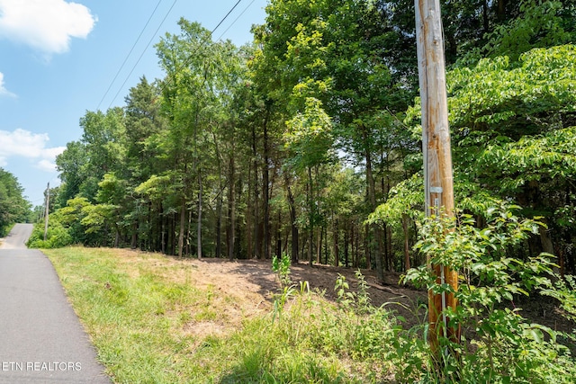 191 Pinecrest Dr, Loudon, TN 37774 - photo 8