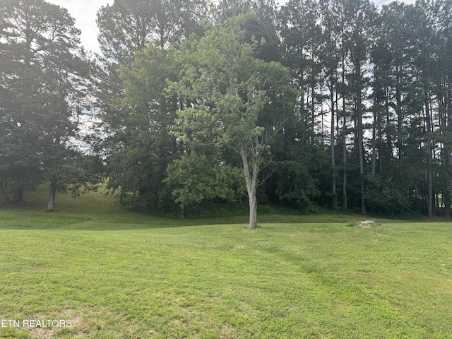 123 Jerry Cardin Ln, Friendsville, TN 37737 - photo 2