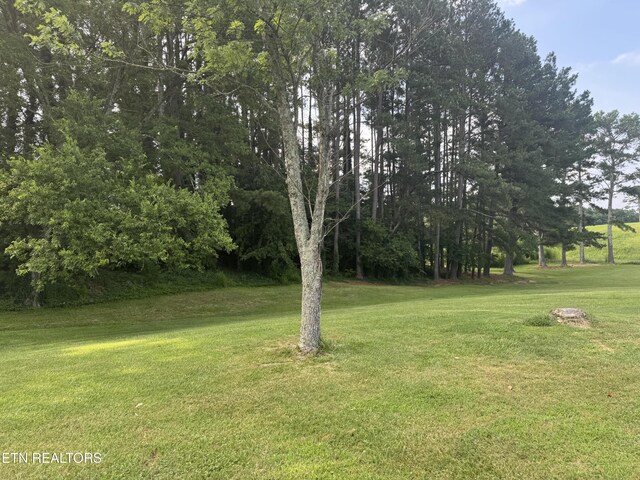 123 Jerry Cardin Ln, Friendsville, TN 37737 - photo 3