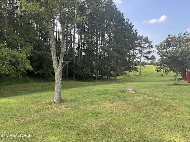 123 Jerry Cardin Ln, Friendsville, TN 37737 - photo 4