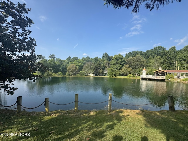 123 Jerry Cardin Ln, Friendsville, TN 37737 - photo 1