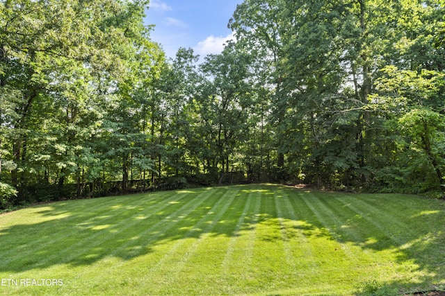 11424 Gates Mill Dr, Knoxville, TN 37934 - view of green lawn