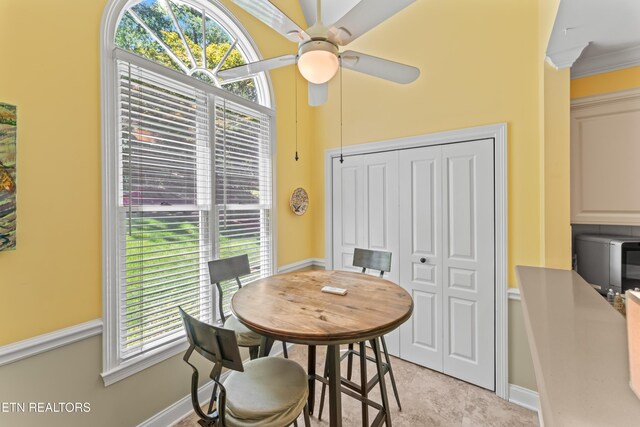 4225 Valencia Rd, Knoxville, TN 37919 - photo 10