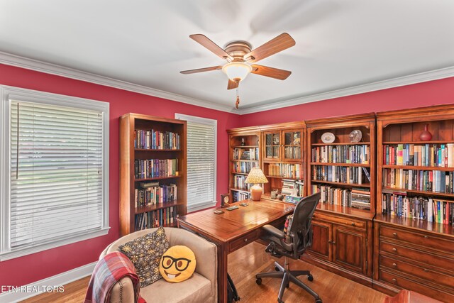 4225 Valencia Rd, Knoxville, TN 37919 - photo 12