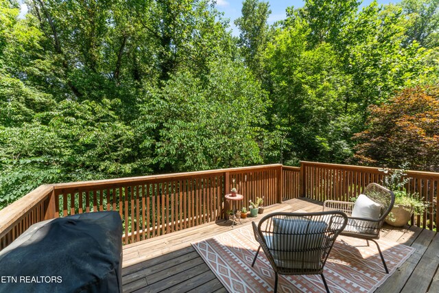 4225 Valencia Rd, Knoxville, TN 37919 - photo 32