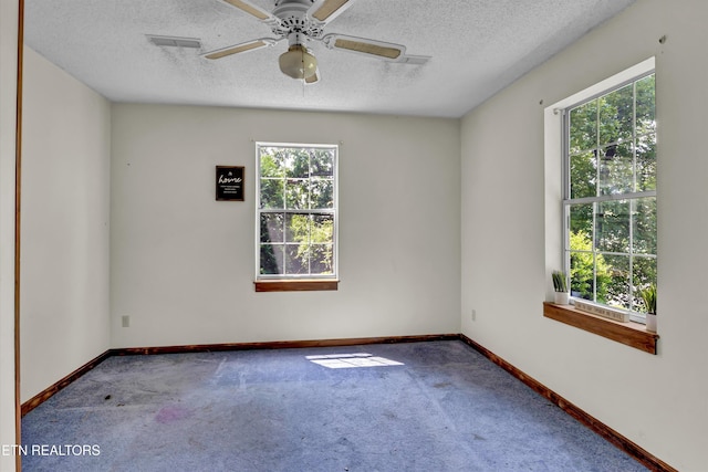 3303 Wimpole Ave, Knoxville, TN 37914 - photo 7