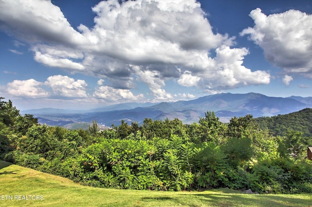 1260 Ski View Dr Apt 4308, Gatlinburg, TN 37738 - photo 32