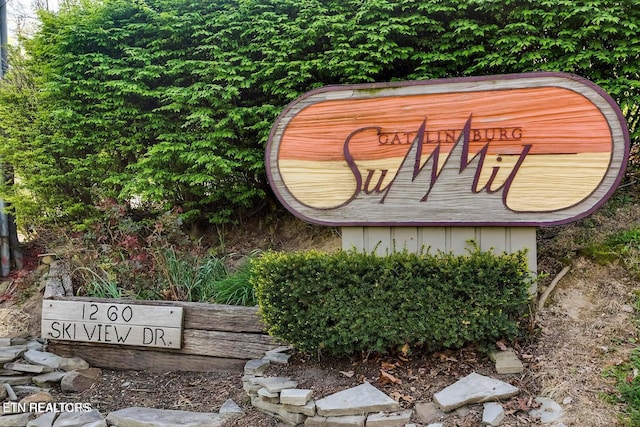 1260 Ski View Dr Apt 4308, Gatlinburg, TN 37738 - photo 2