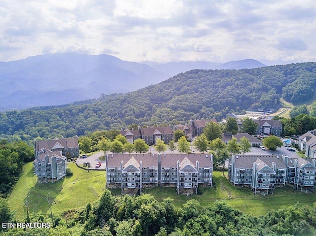 1260 Ski View Dr Apt 4308, Gatlinburg, TN 37738 - photo 33