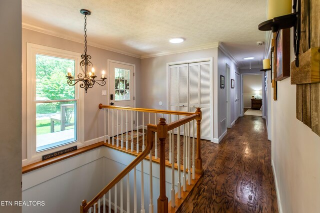 7000 Imperial Dr, Knoxville, TN 37918 - photo 6