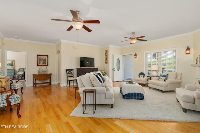 505 Bugaboo Springs Rd, Jonesborough, TN 37659 - living room with a ceiling fan, light wood-type flooring, arched walkways, and crown molding
